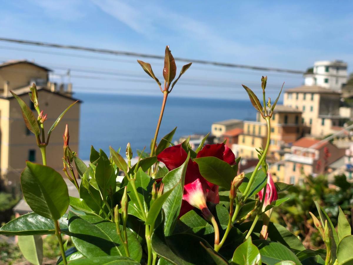 Отель Cinque Terre Coast To Coast Риомаджиоре Экстерьер фото